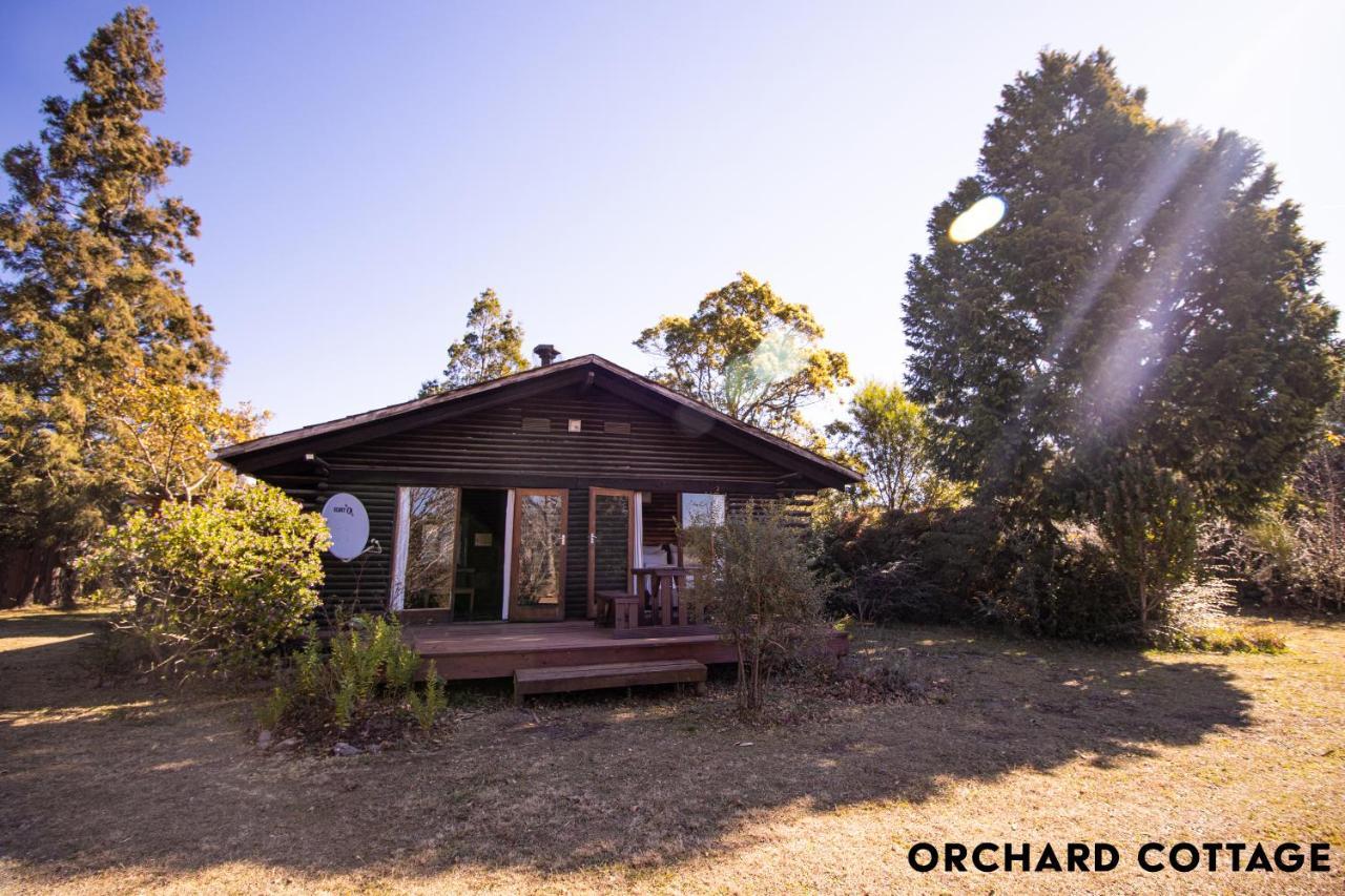 Jaya'S Place Hogsback Kültér fotó